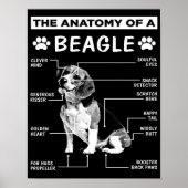Die Anatomie | Beagle Dog | Fantastischer Hund Poster (Vorne)