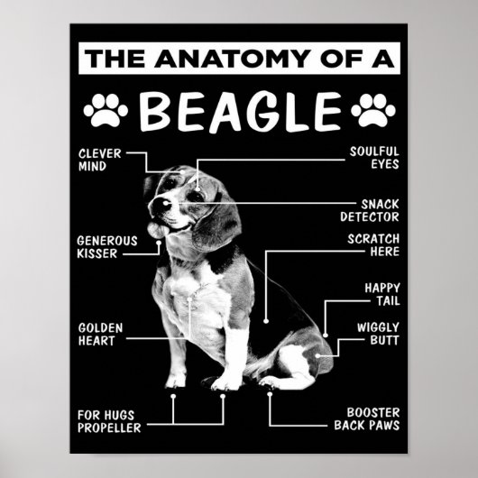 Die Anatomie | Beagle Dog | Fantastischer Hund Poster (Vorne)