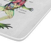 Die Anatomie des Frosches fügt Namen hinzu Schneidebrett (Ecke)