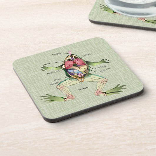 Die Anatomie des Frosches Getränkeuntersetzer (Linke Seite)