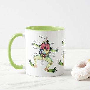 Die Anatomie des Frosches ist grün Tasse
