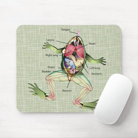 Die Anatomie des Frosches Mousepad (Mit Mouse)