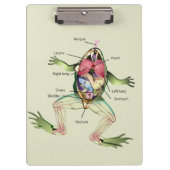 Die Anatomie des Frosches Personalisiert Klemmbrett (Vorderseite)