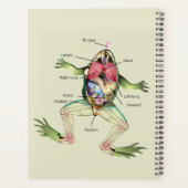 Die Anatomie des Frosches Personalisiert Planer (Rückseite)