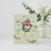 Die Anatomie des Frosches Postkarte (Stehend Vorderseite)