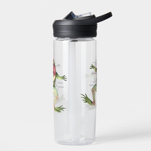 Die Anatomie des Frosches Trinkflasche (Links)