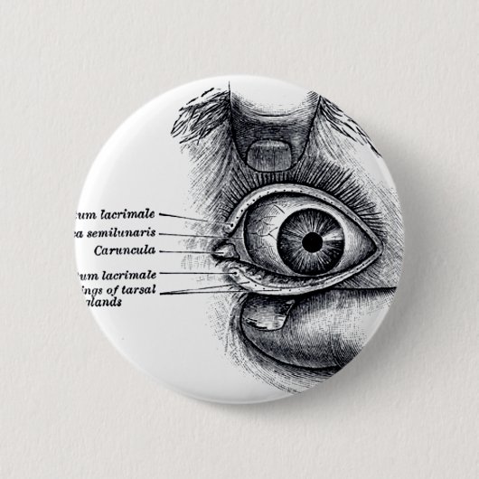 Die Anatomie des Graus - Augapfel Button (Vorderseite)