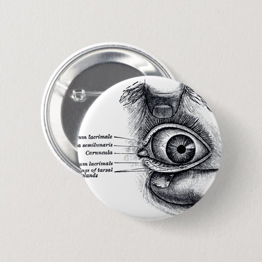 Die Anatomie des Graus - Augapfel Button (Vorne & Hinten)