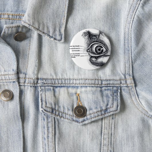 Die Anatomie des Graus - Augapfel Button (Beispiel)