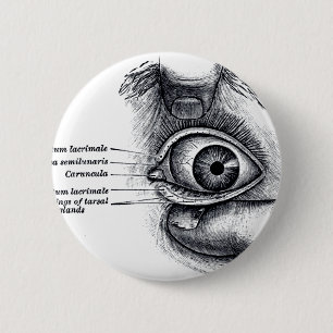 Die Anatomie des Graus - Augapfel Button