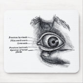 Die Anatomie des Graus - Augapfel Mousepad (Vorne)