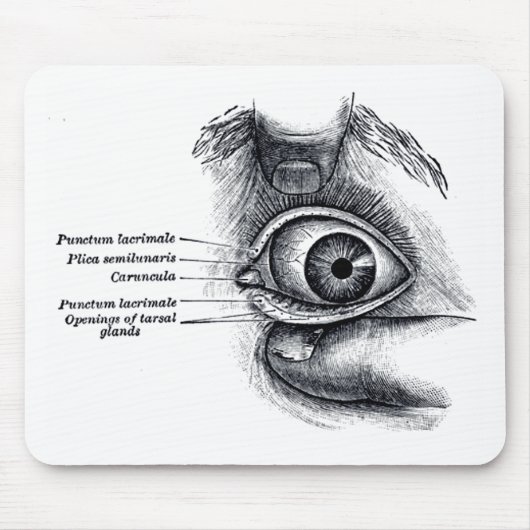Die Anatomie des Graus - Augapfel Mousepad (Vorne)
