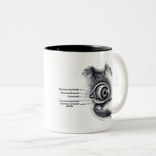 Die Anatomie des Graus - Augapfel Zweifarbige Tasse (VorderseiteRechts)