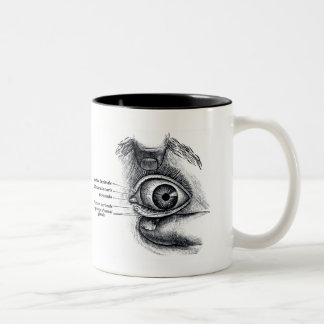 Die Anatomie des Graus - Augapfel Zweifarbige Tasse