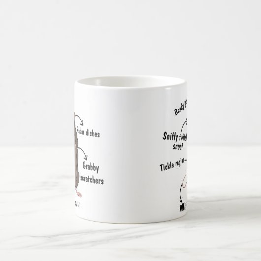 Die Anatomie einer Ratte Kaffeetasse (Mittel)