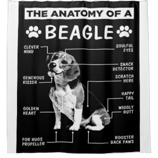 Die Anatomie eines Beagle Hundes Duschvorhang