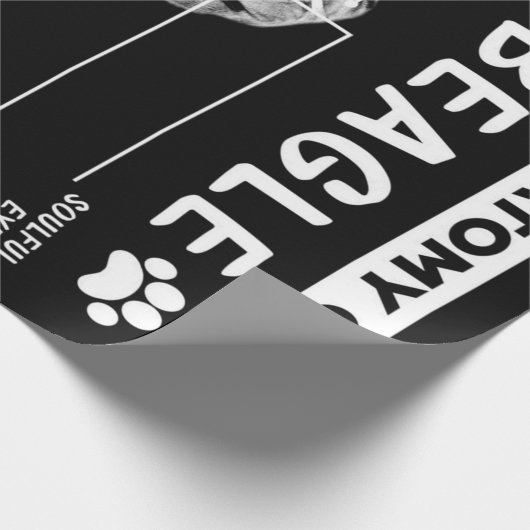 Die Anatomie eines Beagle-Hundes Geschenkpapier (Ecke)