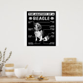 Die Anatomie eines Beagle-Hundes Poster (Küche)