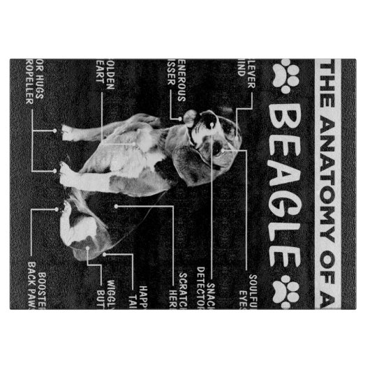 Die Anatomie eines Beagle-Hundes Schneidebrett (Vorderseite)