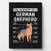 Die Anatomie eines deutschen Hirten Fotoplatte (Vorderseite)