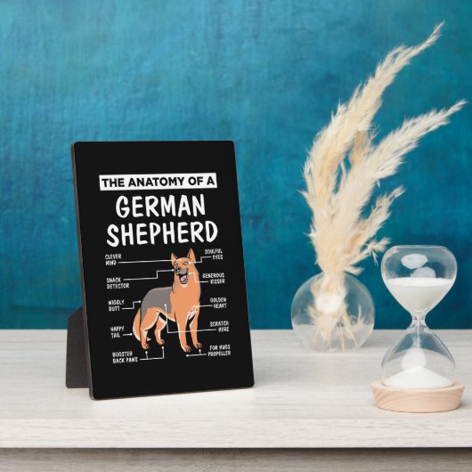 Die Anatomie eines deutschen Hirten Fotoplatte (Seite)