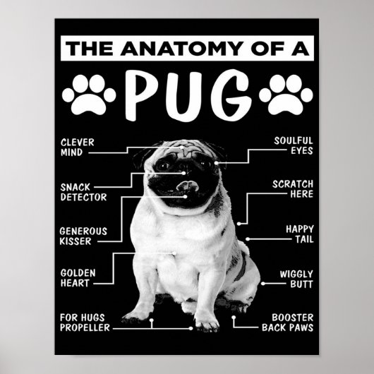 Die Anatomie eines Mops-Haustiers Poster (Vorne)