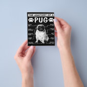 Die Anatomie eines Mops-Hundes Flyer (Gruppe)