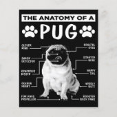 Die Anatomie eines Mops-Hundes Flyer (Vorne)