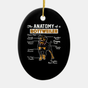 Die Anatomie eines Rottweilers   Cooler Hund Lover Keramik Ornament