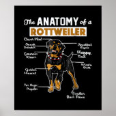 Die Anatomie eines Rottweilers | Cooler Hund Lover Poster (Vorne)