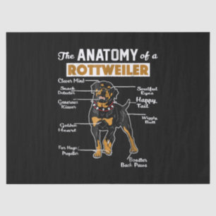 Die Anatomie eines Rottweilers   Cooler Hund Lover Seidenpapier