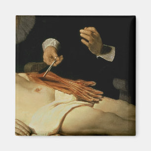 Die Anatomie-Lektion von Dr. Nicolaes Tulp, 1632 Magnet