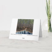 "Die andere Seite", digital bearbeitet Wald und Te Karte (Rückseite)