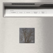 Die andere Seite Magnet (In Situ (Geschirrspüler))