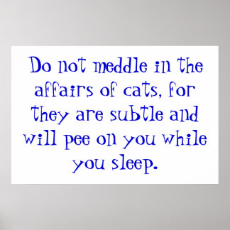 Die Angelegenheiten der Katzen Poster