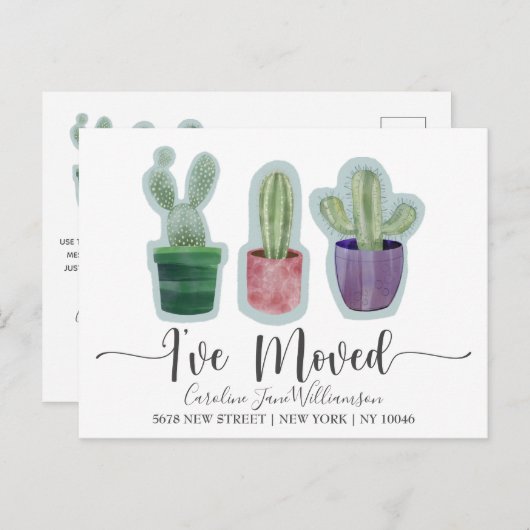 Die Ankündigung des Kakteen (Vorne/Hinten)