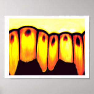 die Ansammlung Poster