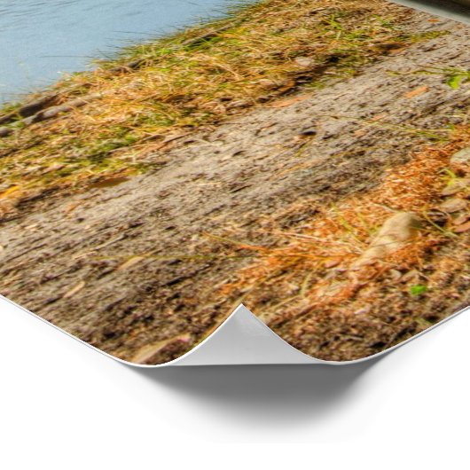 Die Ansicht eines Festplattengolfers Poster (Ecke)