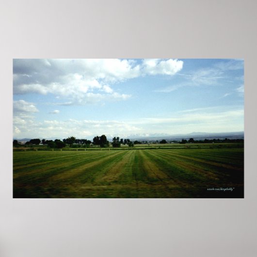 Die Ansicht Poster (Vorne)