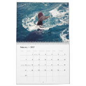 Die Antarktis, 2011 Wandkalender (Feb 2027)