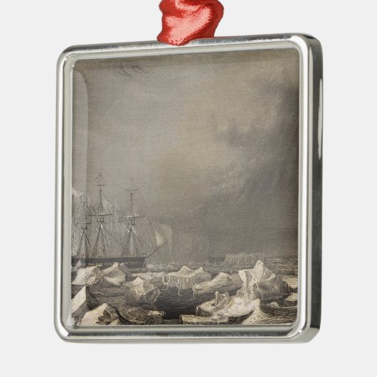 Die Antarktis 3 Silbernes Ornament (Links)