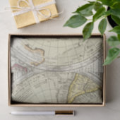 Die Antarktis 4 Seidenpapier (Geschenk)