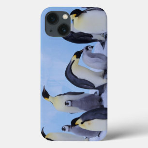 Die Antarktis, Emporer Pinguin ((Aptenodytes Case-Mate iPhone Hülle