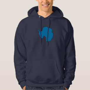Die Antarktis-Flaggenkarte Hoodie