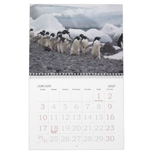 Die Antarktis-Pinguin-Kalender Kalender (Jan 2027)