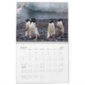 Die Antarktis-Pinguin-Kalender Kalender (Mär 2027)