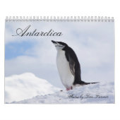 Die Antarktis-Pinguin-Kalender Kalender (Titelbild)