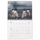 Die Antarktis-Pinguin-Kalender Kalender (Mär 2026)