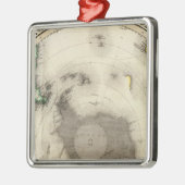 Die Antarktis, südliche Hemisphäre Ornament Aus Metall (Links)