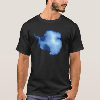 Die Antarktis-Systemtest-Karte T-Shirt